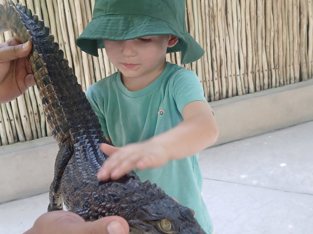 Dubai Crocodile Park-迪拜必去景点