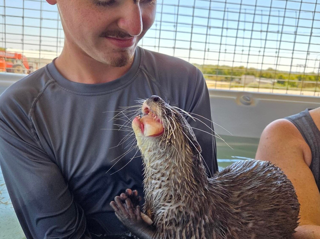 Blue Hills Ranch-McGregor必去景点