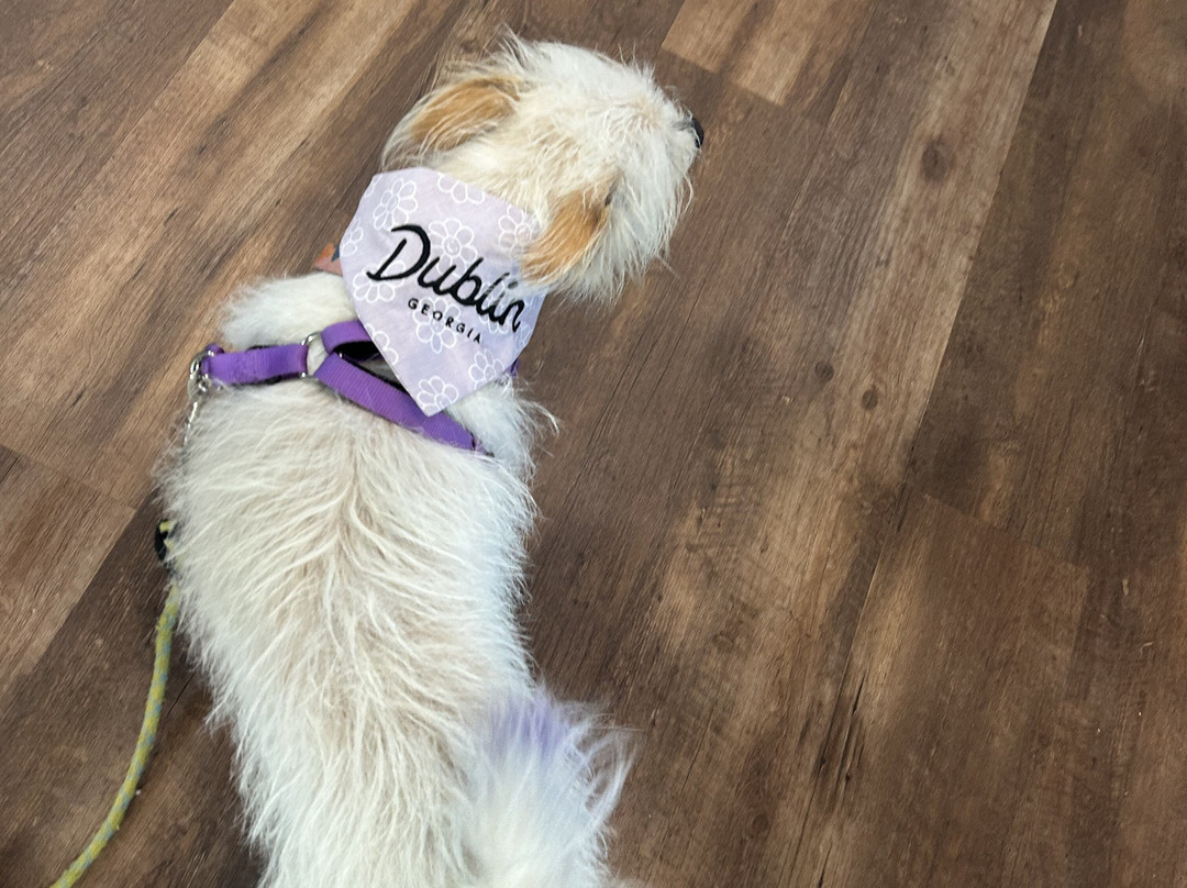 Dublin Visitors Center-Dublin必去景点