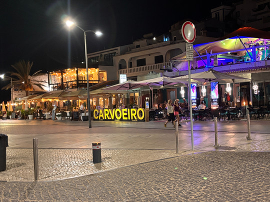 Hotel Carvoeiro Plaza主图