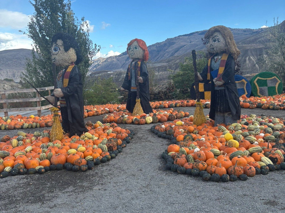 Desert Hills Ranch-Ashcroft必去景点