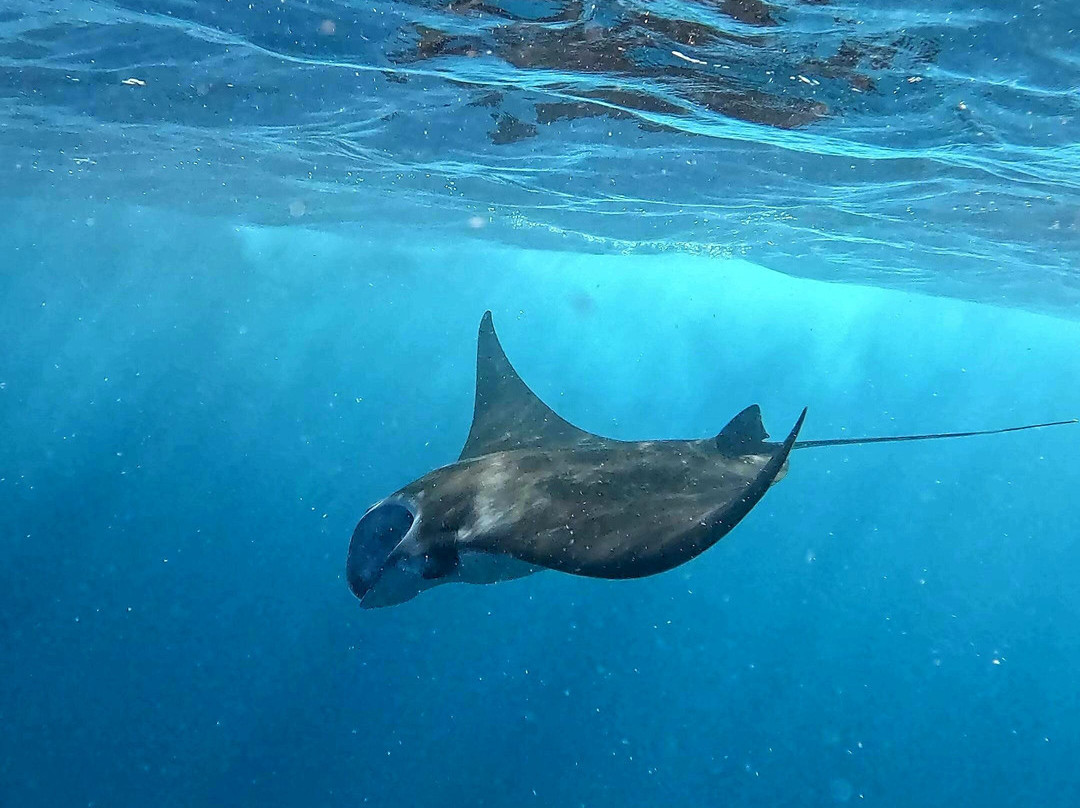 Blue Lagoon Activities Ceningan-努沙切宁安岛必去景点