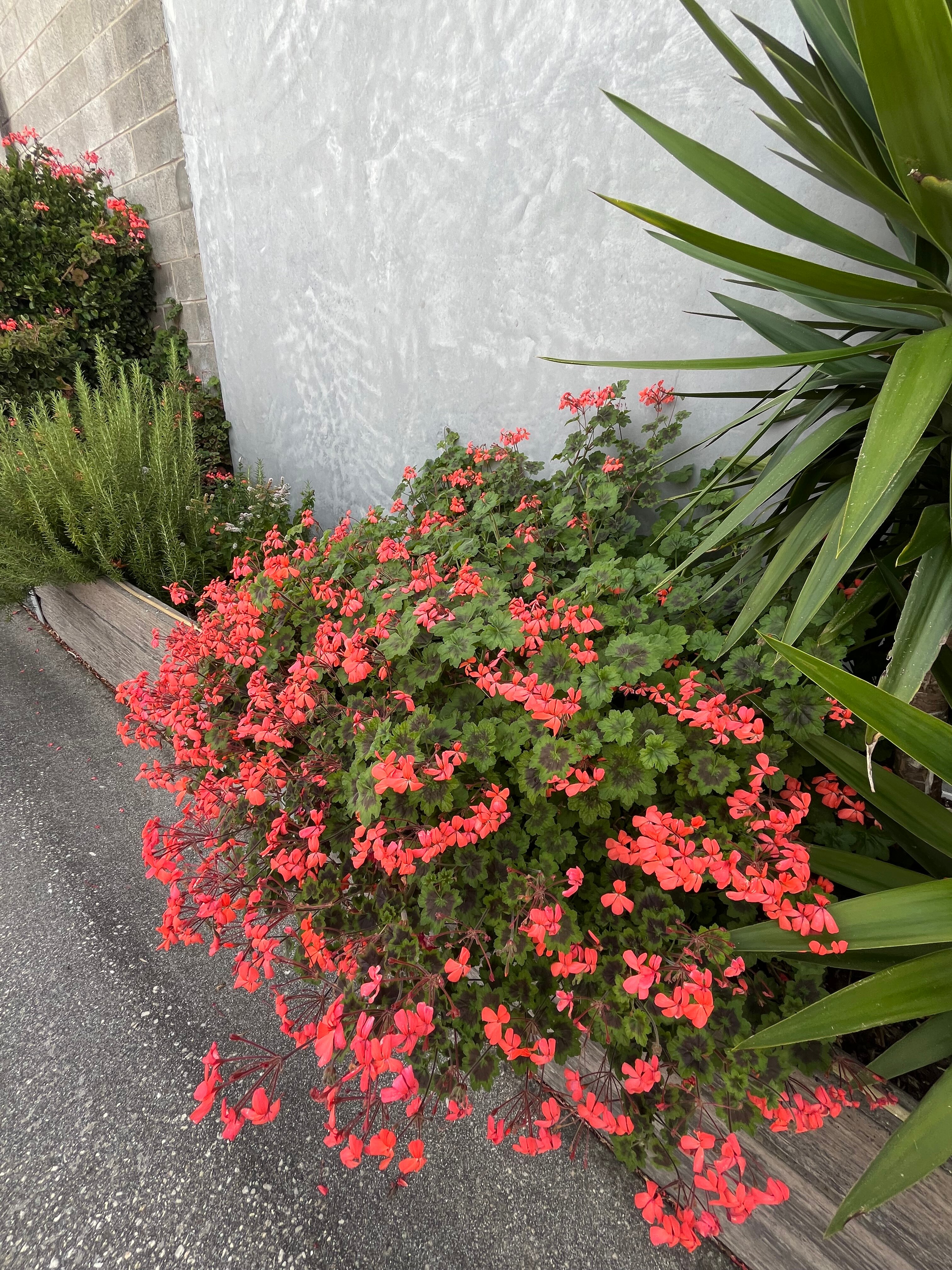 舒适国际大酒店-官方