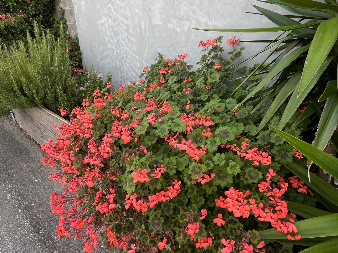 舒适国际大酒店主图