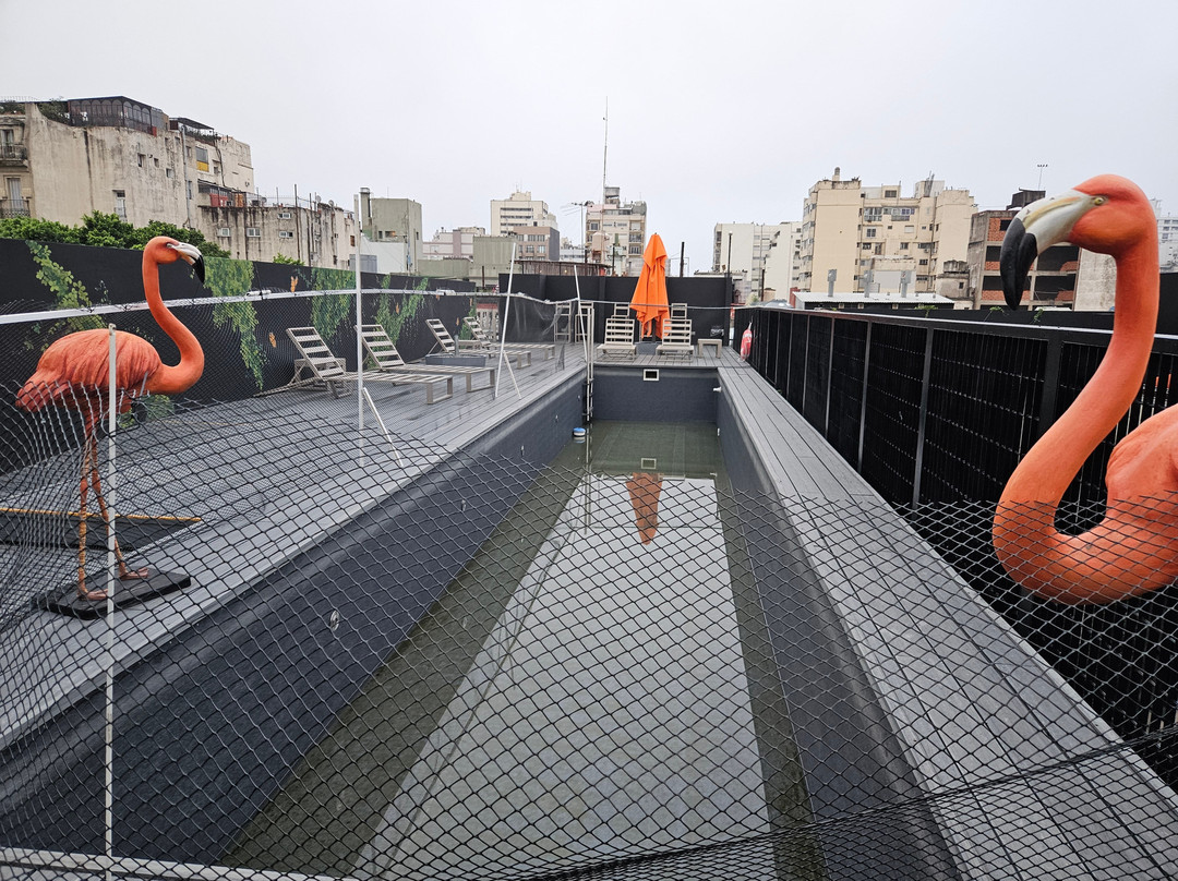 Anselmo Buenos Aires, Curio Collection by Hilton主图