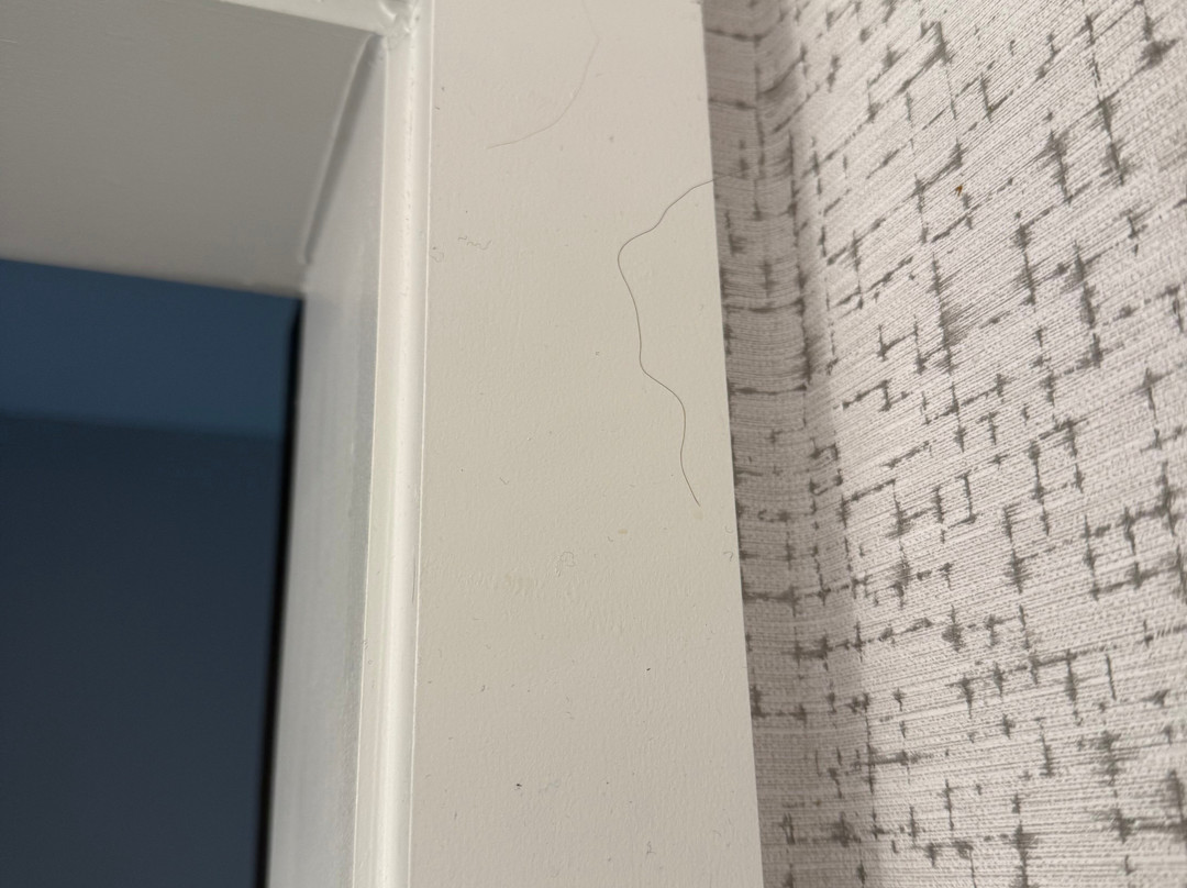 Hampton Inn & Suites Lubbock University主图