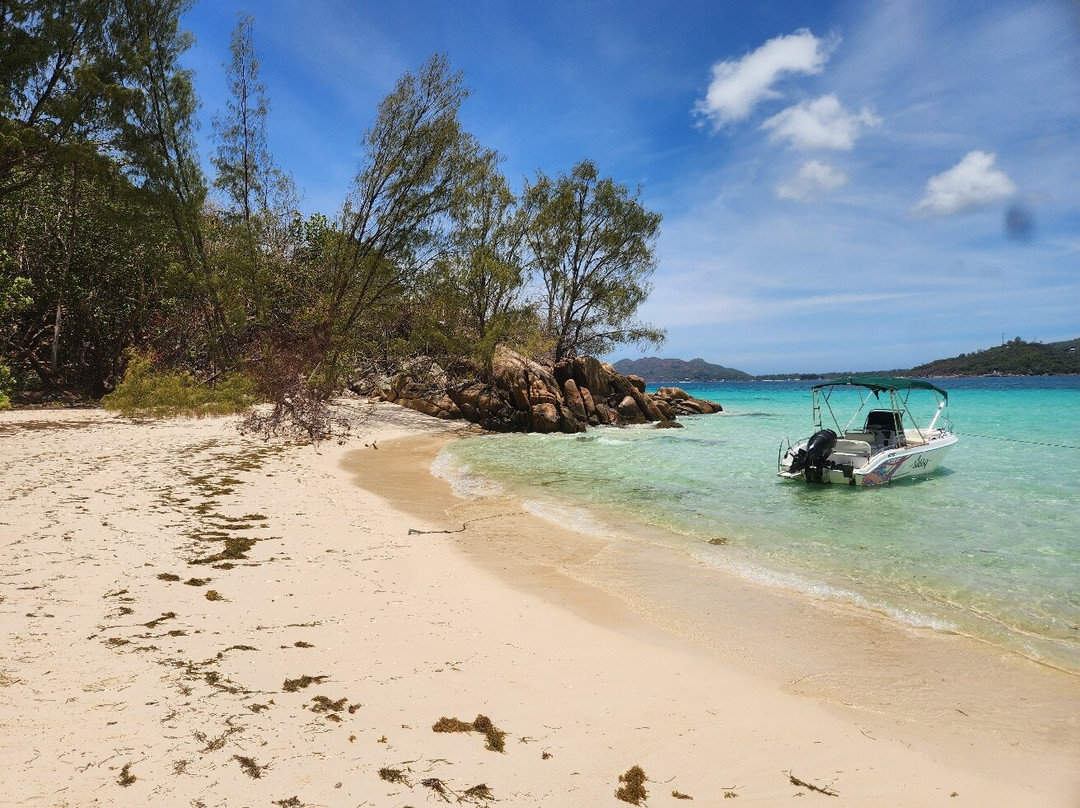 Curieuse Island-普拉兰岛必去景点