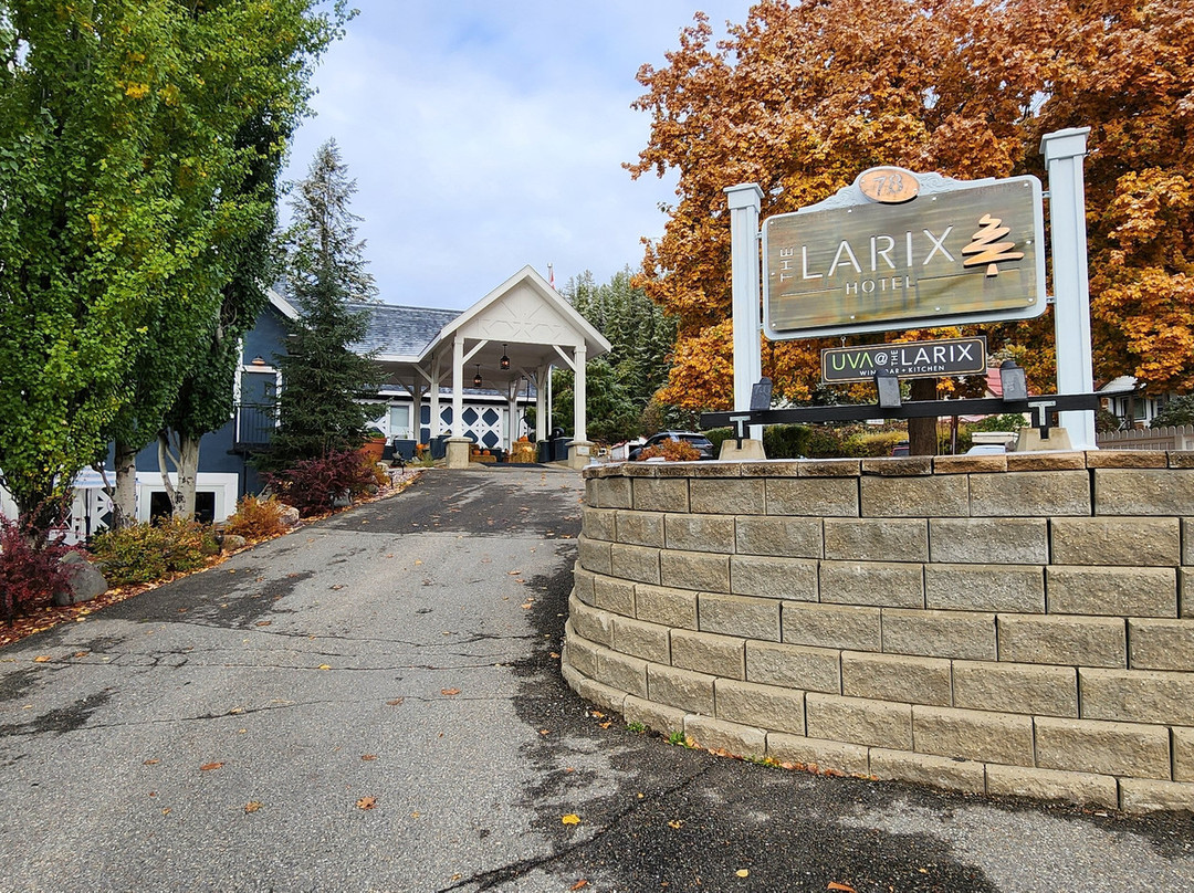 The Larix Hotel主图