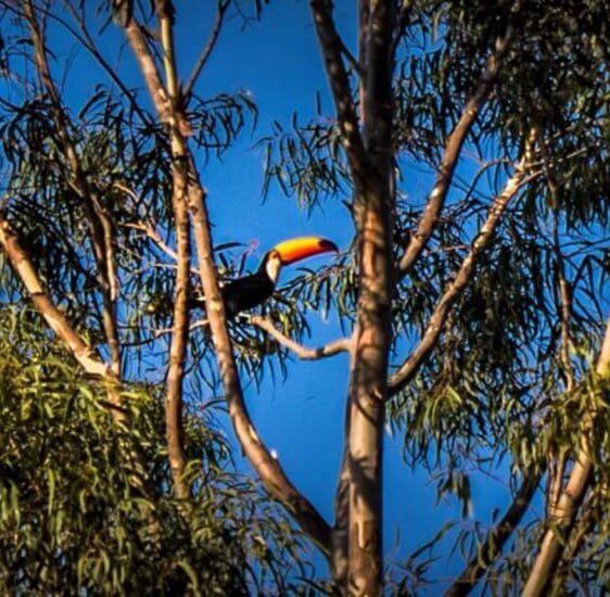 Pousada Mirante do Cerrado-家庭/游戏区