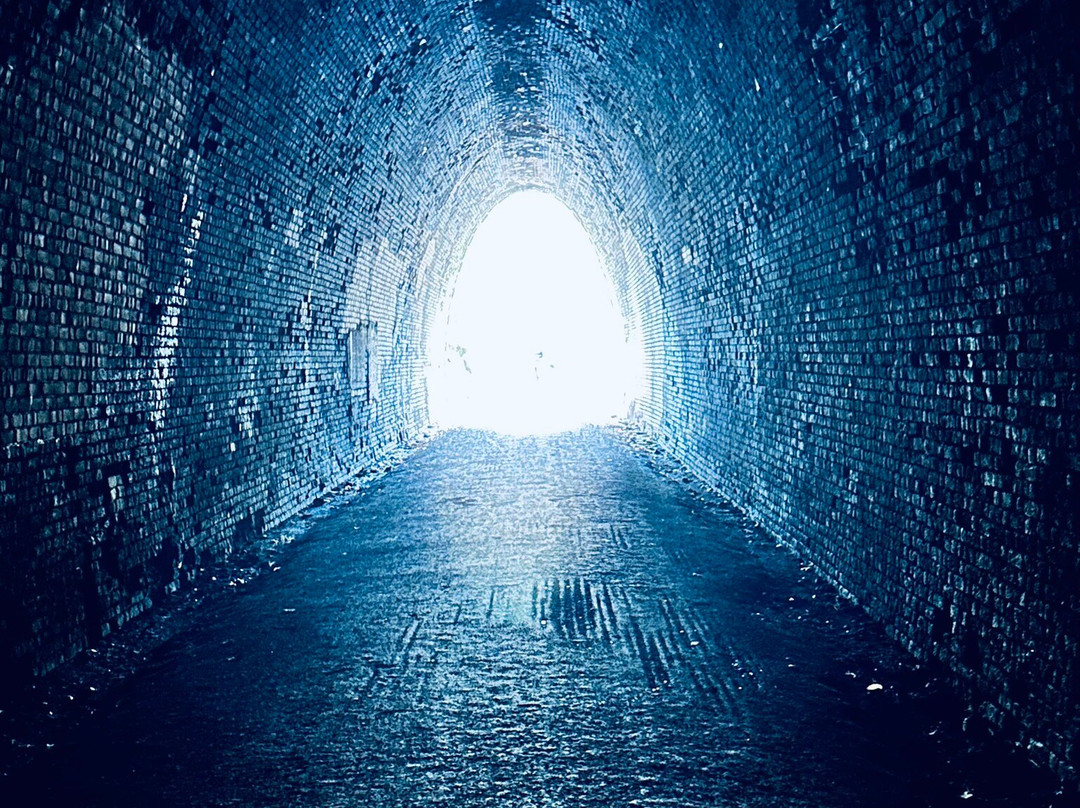 Blue Ridge Tunnel East Trailhead-Afton必去景点