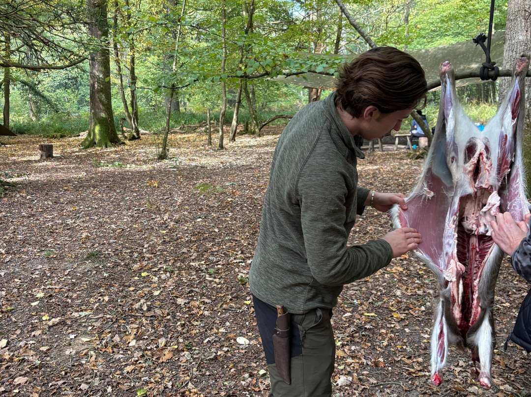 Wildway Bushcraft-Wimborne Minster必去景点