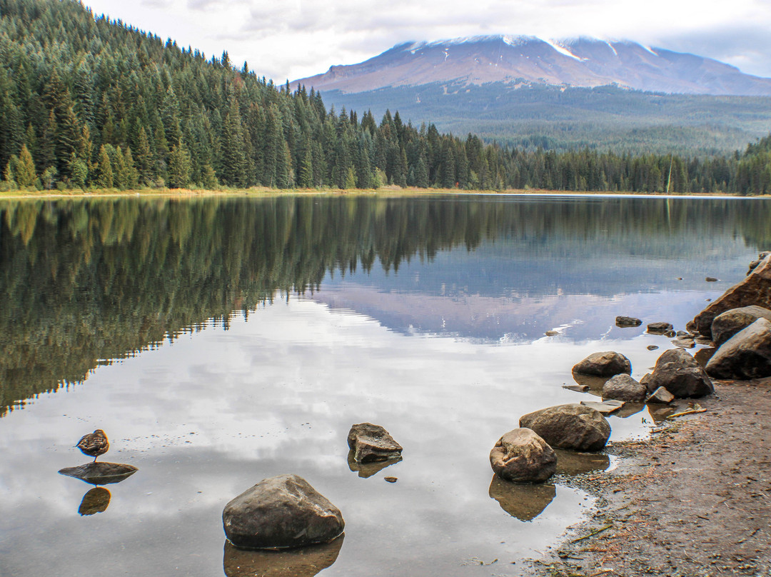 延龄草湖-Government Camp必去景点