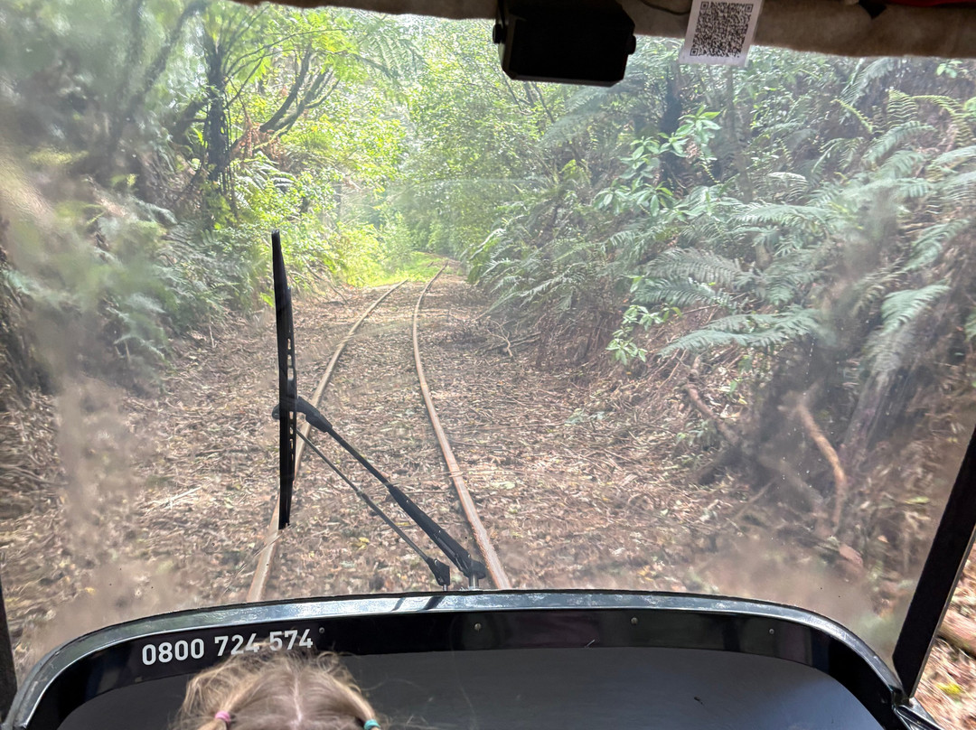 Rotorua Rail Cruising-罗托鲁瓦必去景点