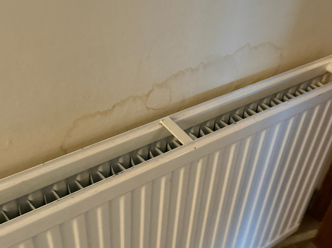 OYO Cocketts Hotel主图