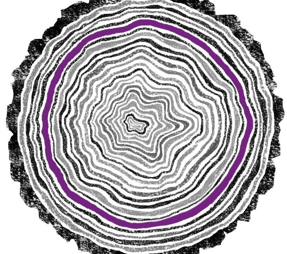 BackWoods Experiences