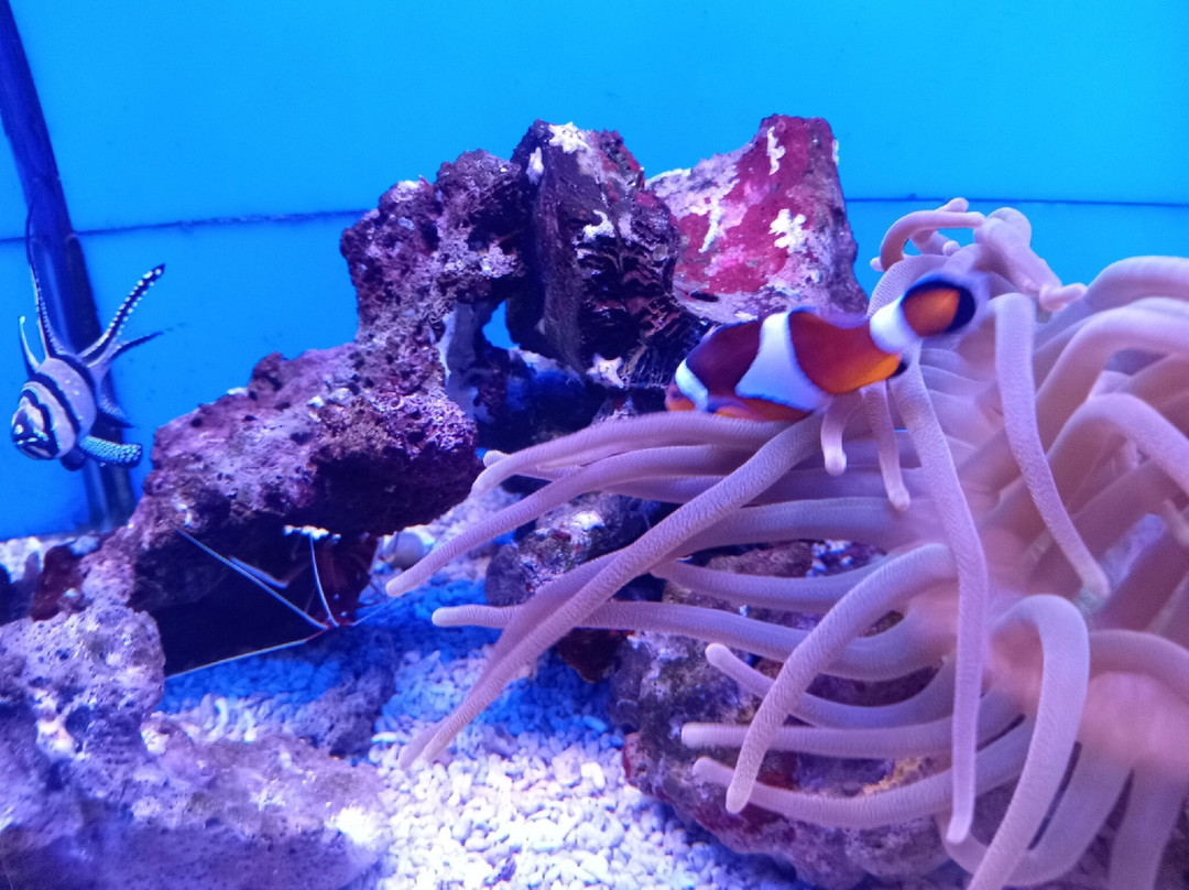 Kaliningrad Museum of Fine Arts-加里宁格勒必去景点