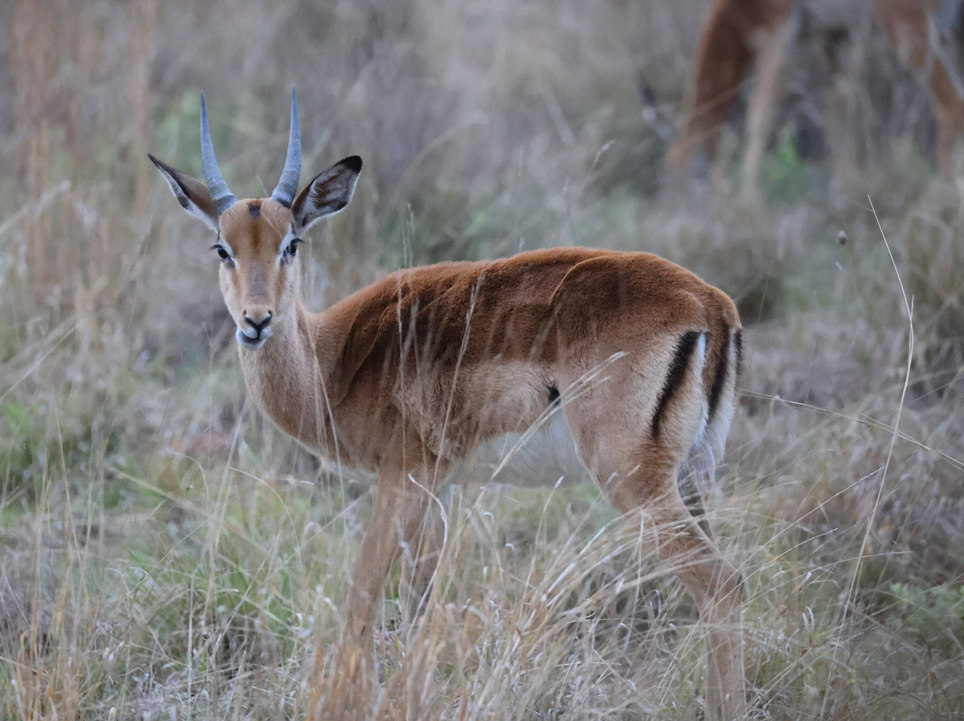 Loisico Tours and Excursions-Bloubergstrand必去景点
