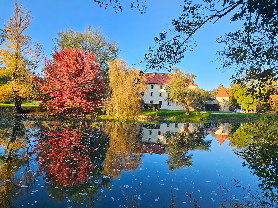 Hotel Grad Otocec Relais & Châteaux主图