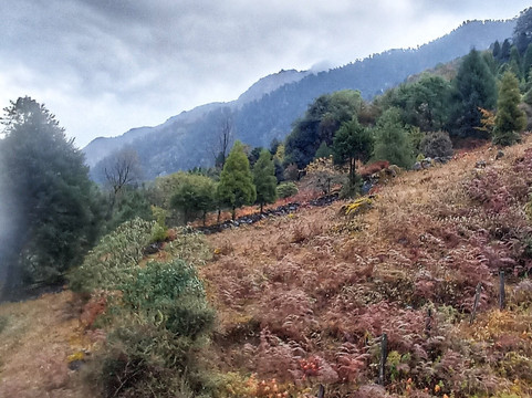 Jain Group Lachung Eyes主图