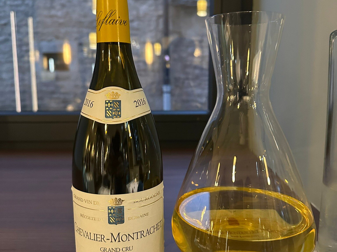 奥利维尔勒拉夫住宅酒店主图