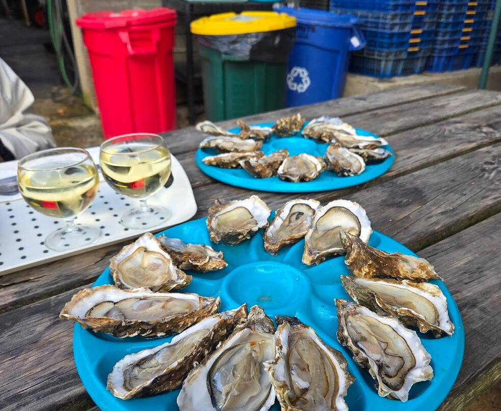 Aux Viviers de Penfoulic-La Foret-Fouesnant必去景点
