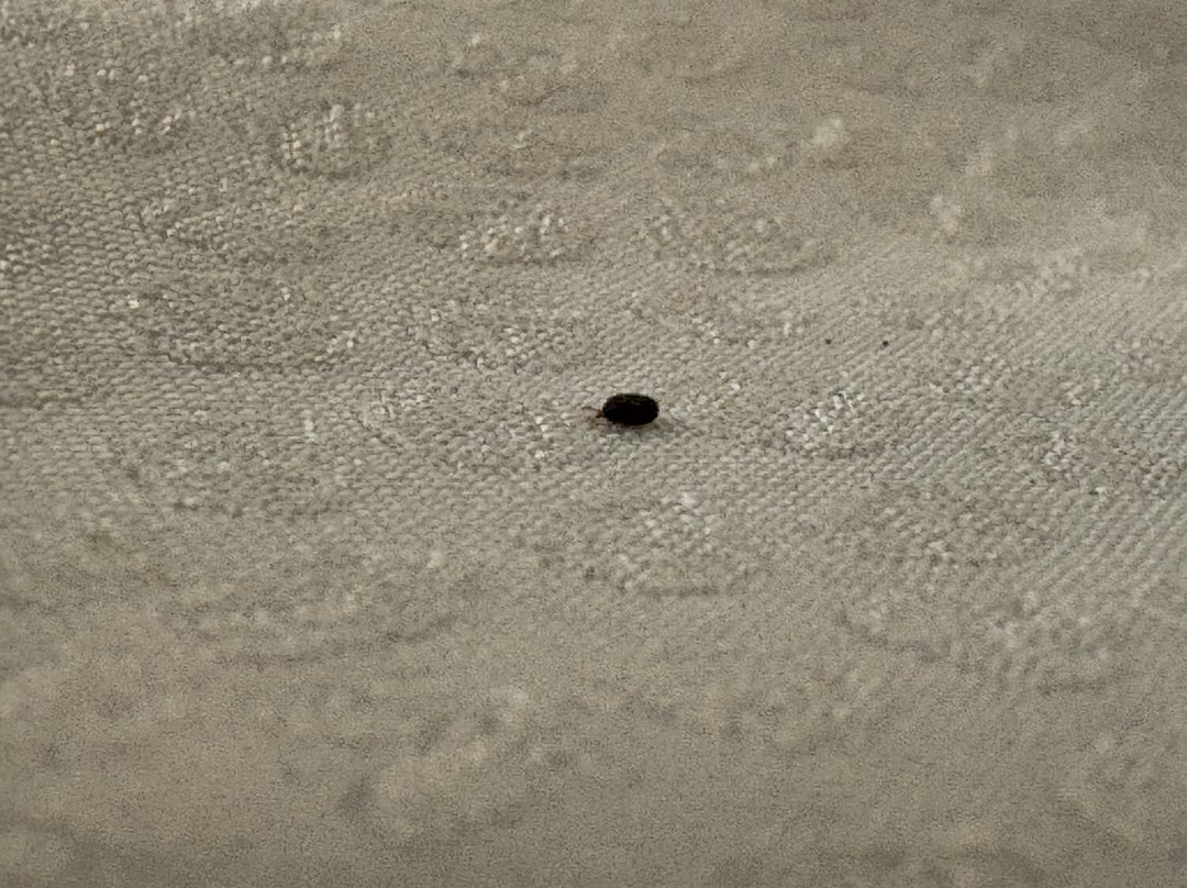 Hilton Garden Inn Annapolis Downtown主图