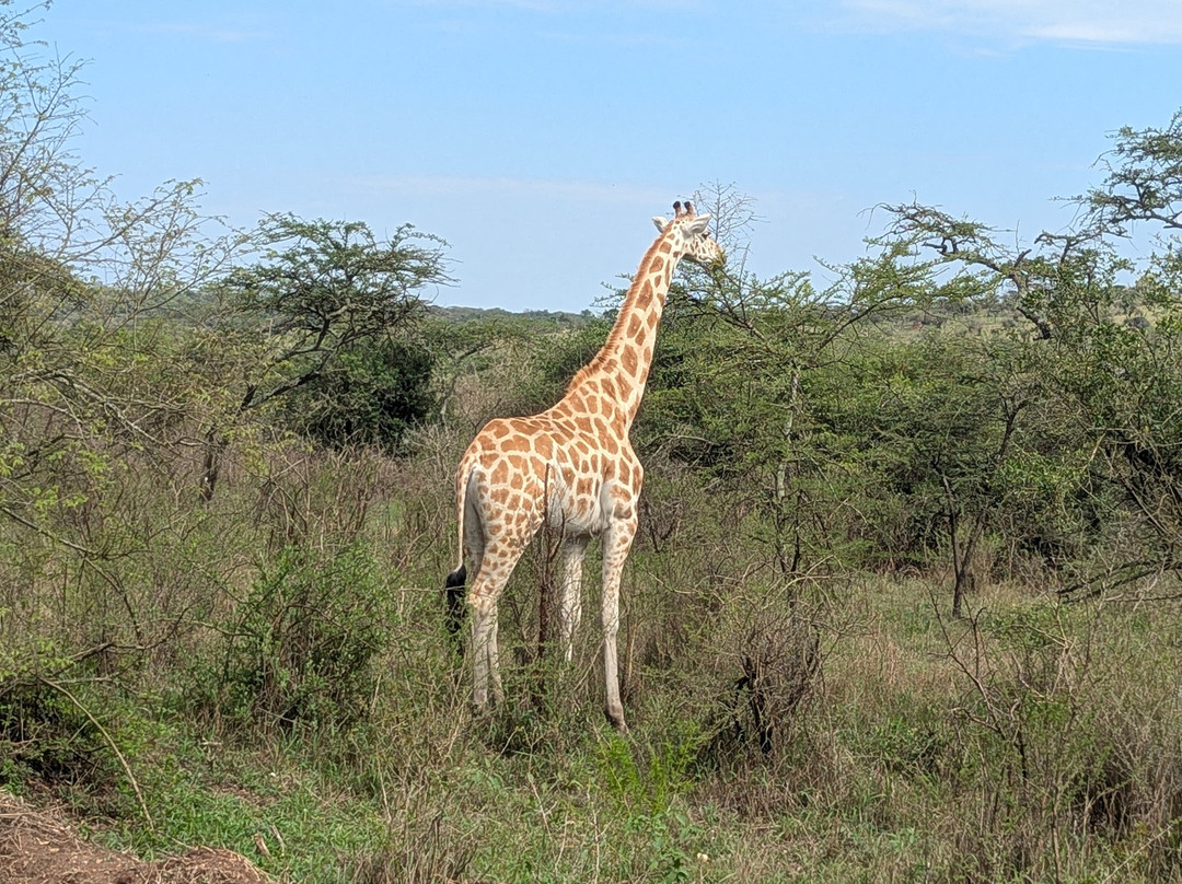 Deks Safaris & Tours Ltd-坎帕拉必去景点