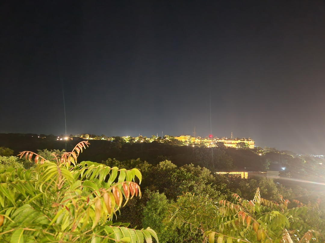 Reve India Tours-新德里必去景点