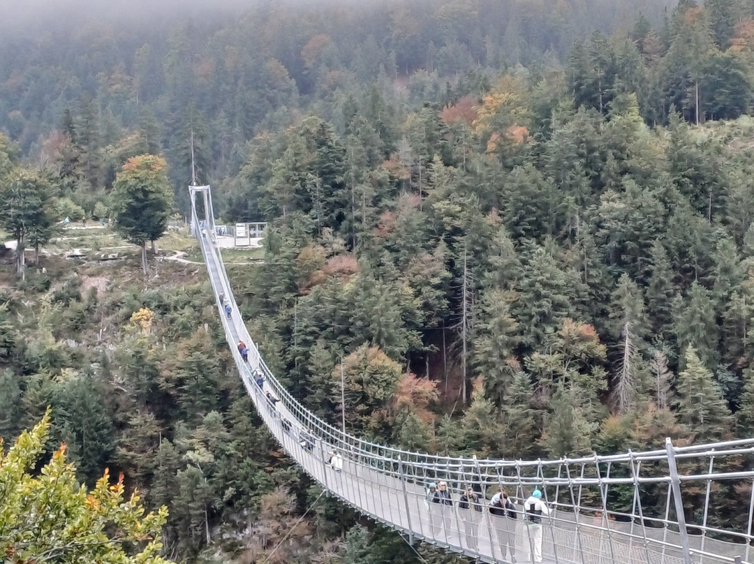 Highline179-霍伊特必去景点