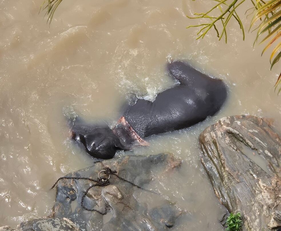 大象公园酒店主图