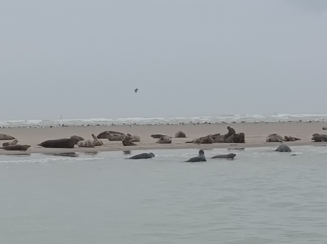 L'étoile De La Baie-Le Crotoy必去景点