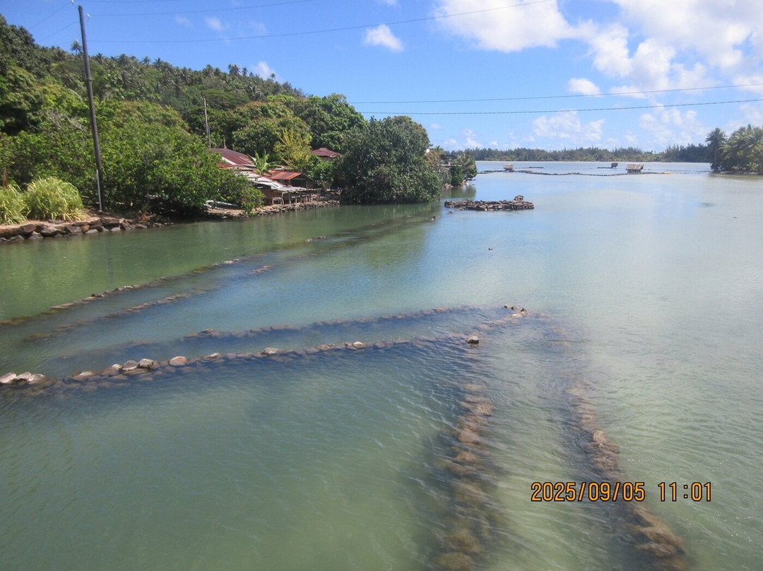 Island Eco Tours : Huahine-Fare必去景点