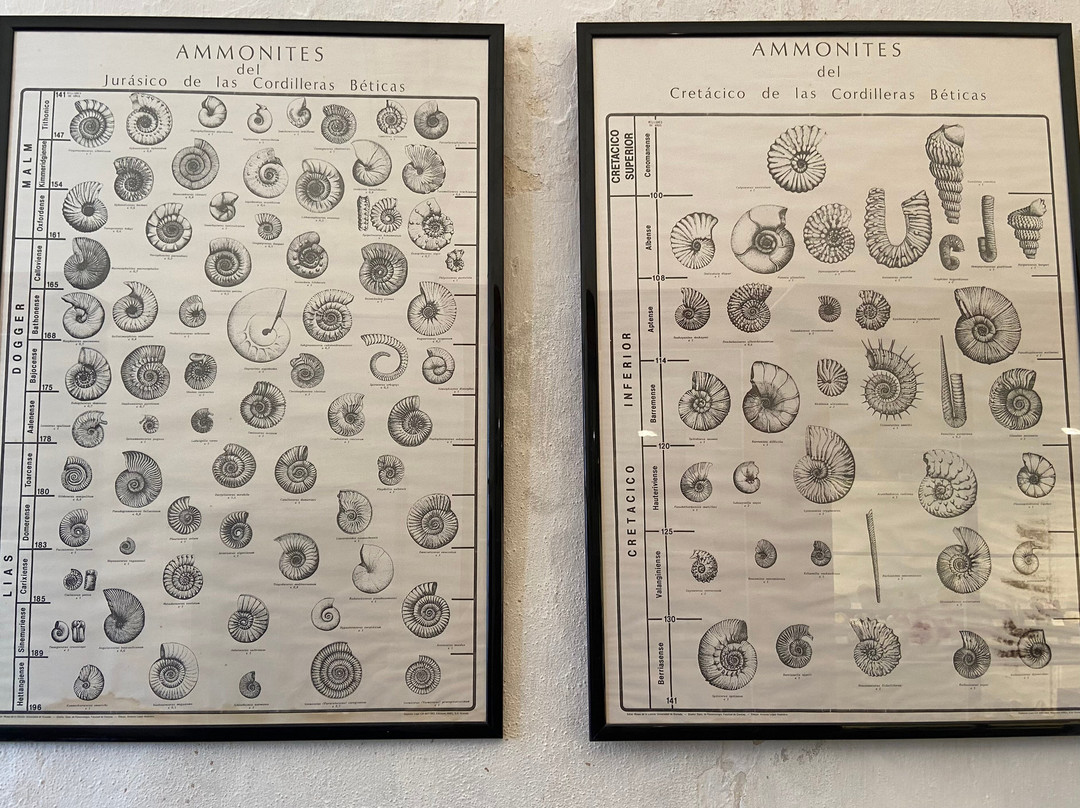 Esglèsia De Santa Maria Dels Socors