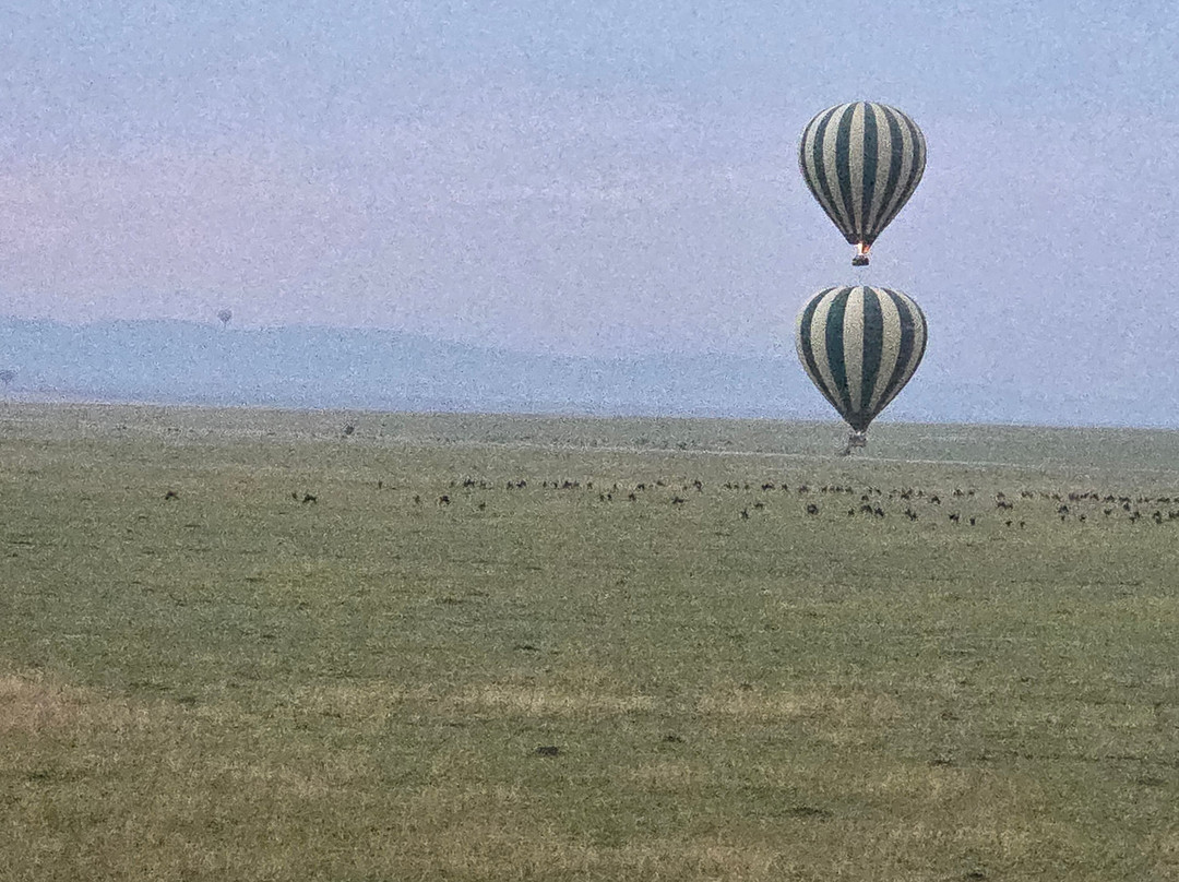 Super Africa Wildlife And Adventure Safaris-Kisii必去景点