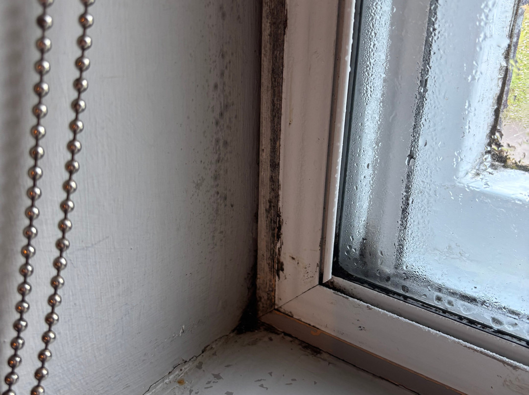 Bourne Valley Inn主图