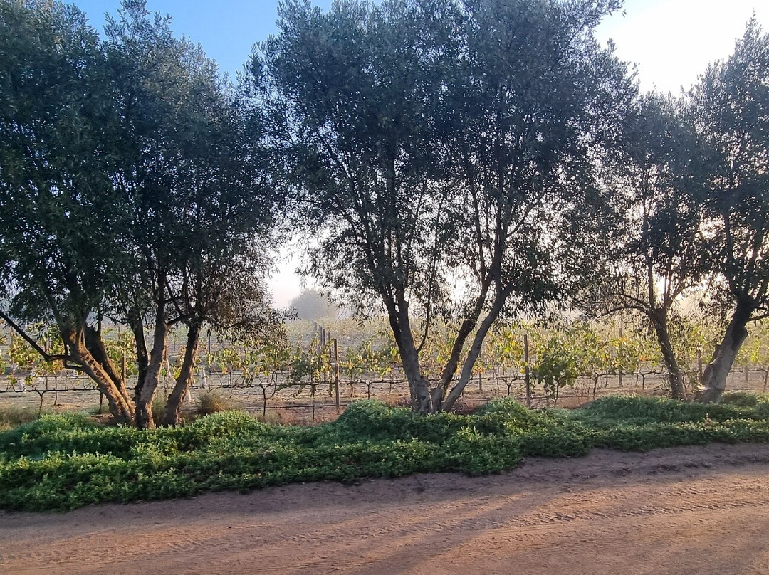 El Cielo Valle de Guadalupe-Valle de Guadalupe必去景点