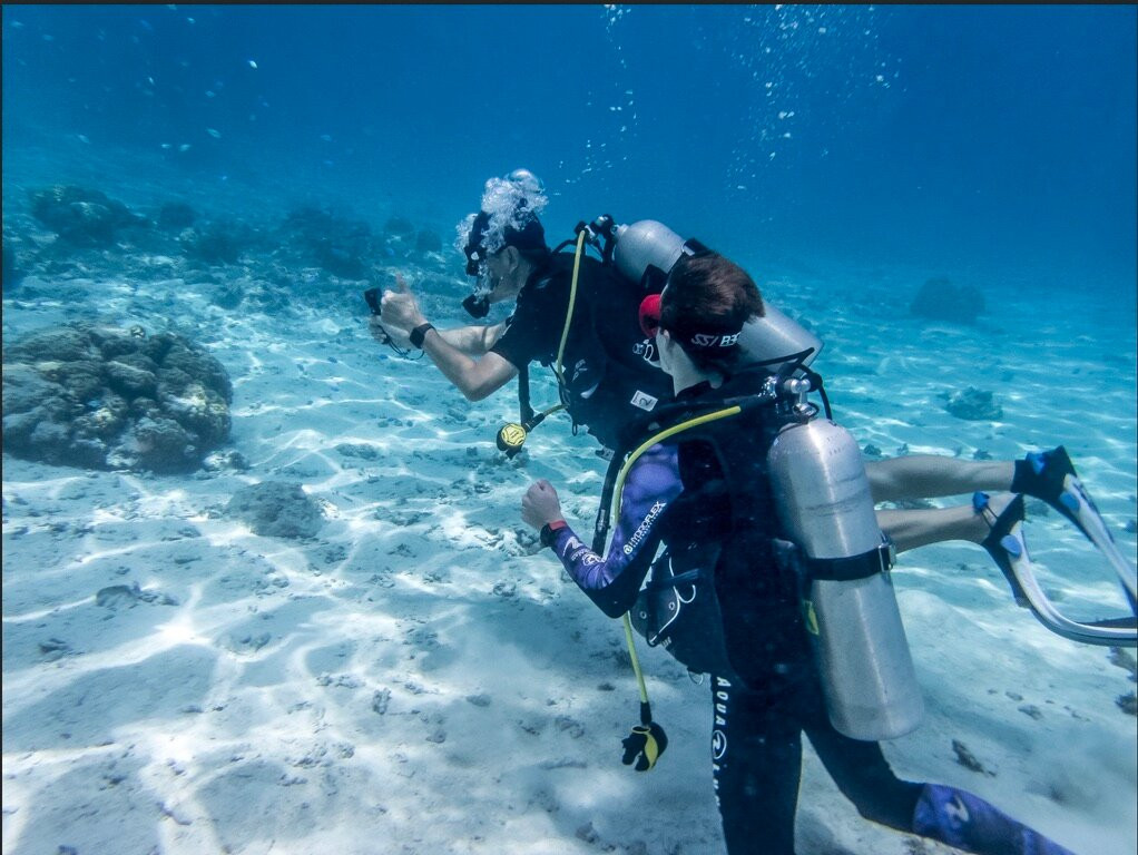 Fluid Tahiti Dive Center-普纳奥亚必去景点