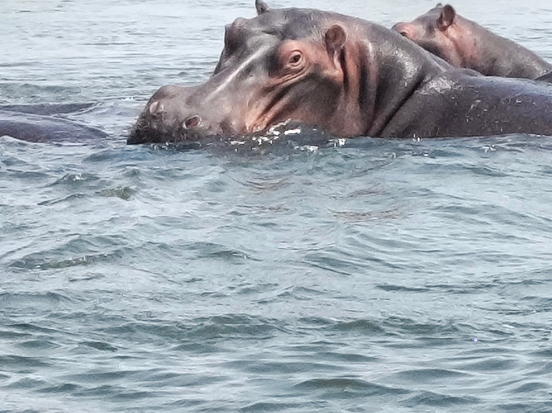 River Horse Safaris-Chirundu必去景点