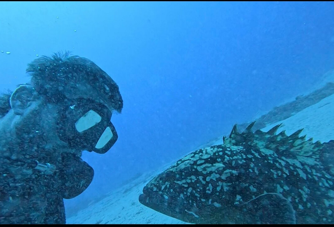 Kanyon Diving-卡斯必去景点