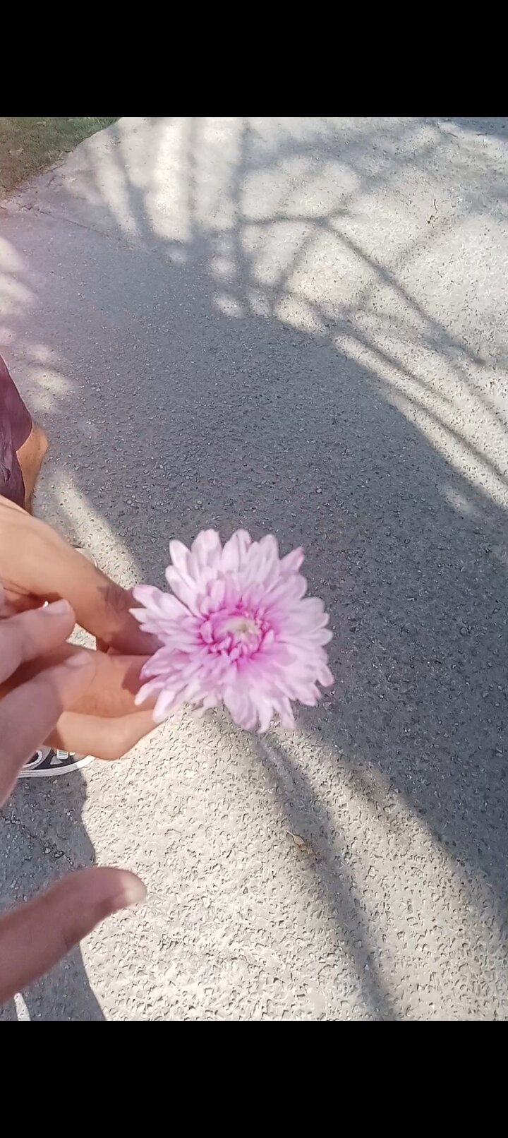 Stella Sea Club Hotel-家庭/游戏区