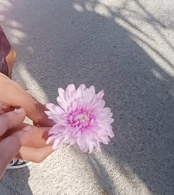 Stella Sea Club Hotel主图