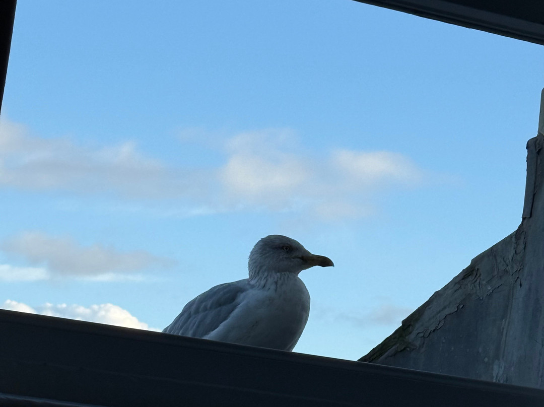 Swn Y Mor Hotel主图