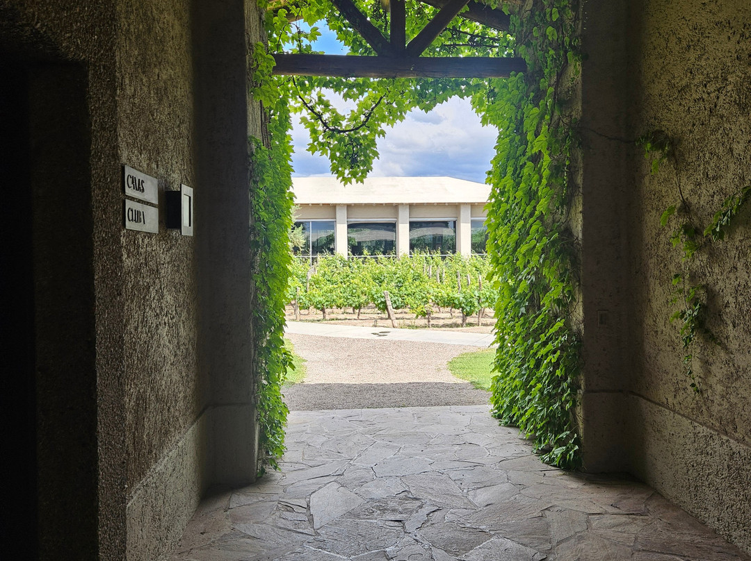 Bodega Vistalba-路冉得库约必去景点