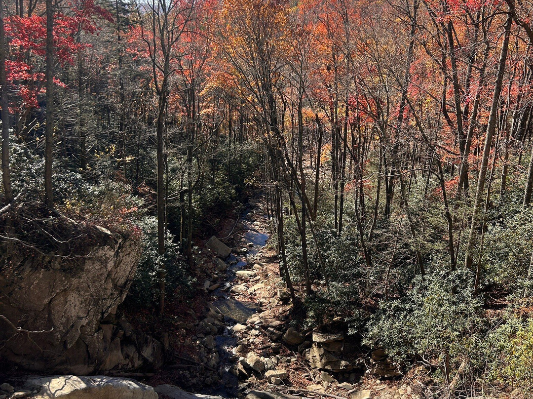 Glen Burney Trail-布洛英罗克必去景点