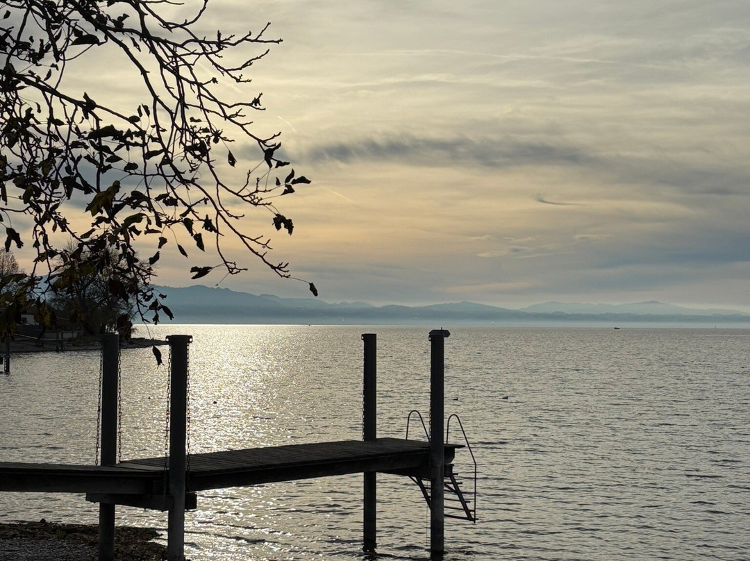 Hotel Caraleon主图