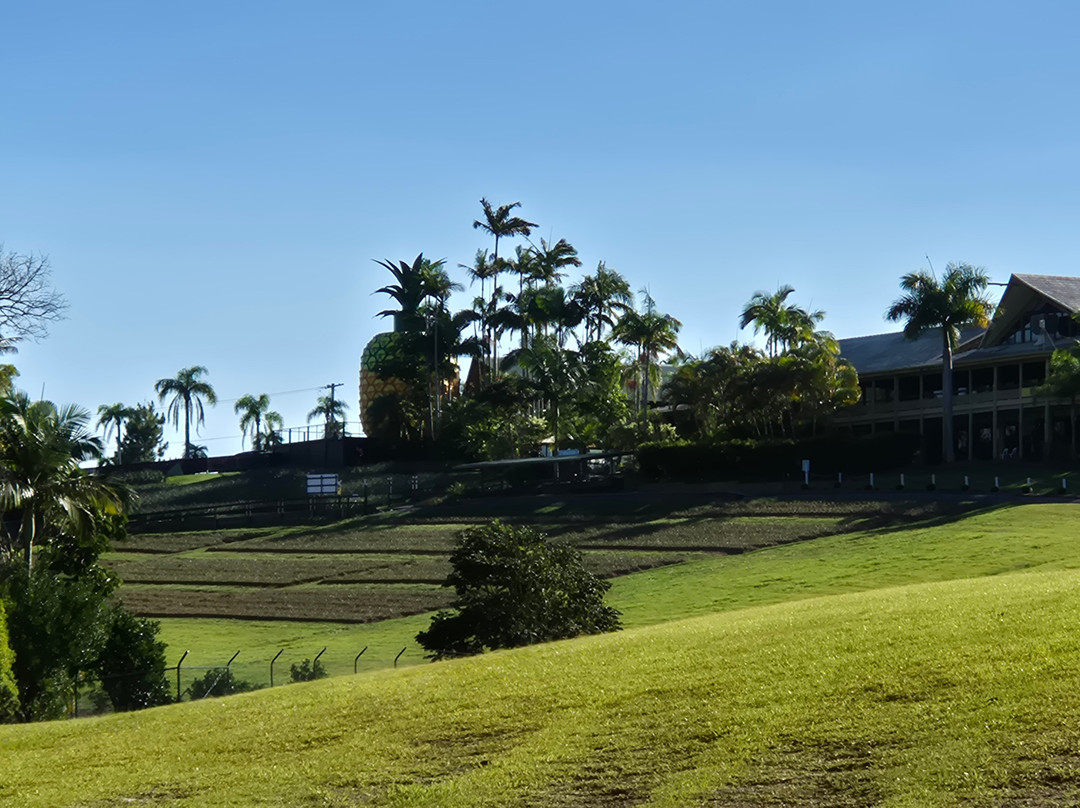 The Big Pineapple-Nambour必去景点