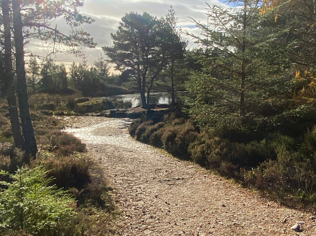 Fyrish Monument-Evanton必去景点