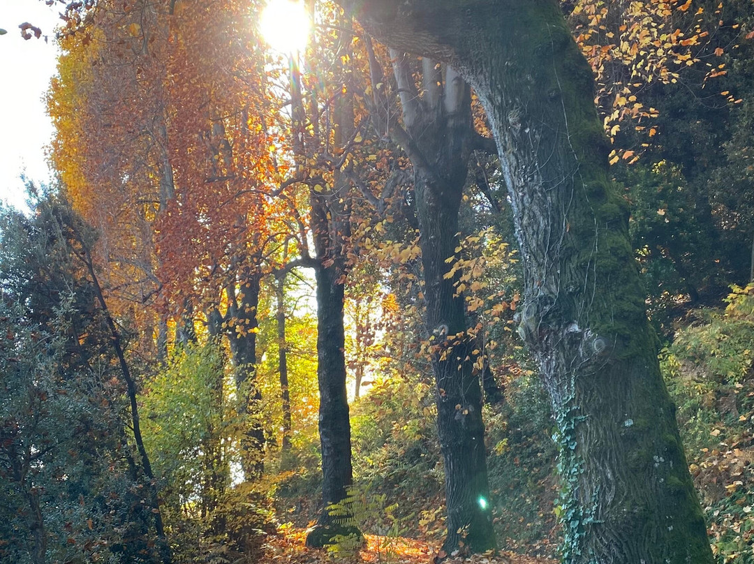 Parco della Burcina-Pollone必去景点