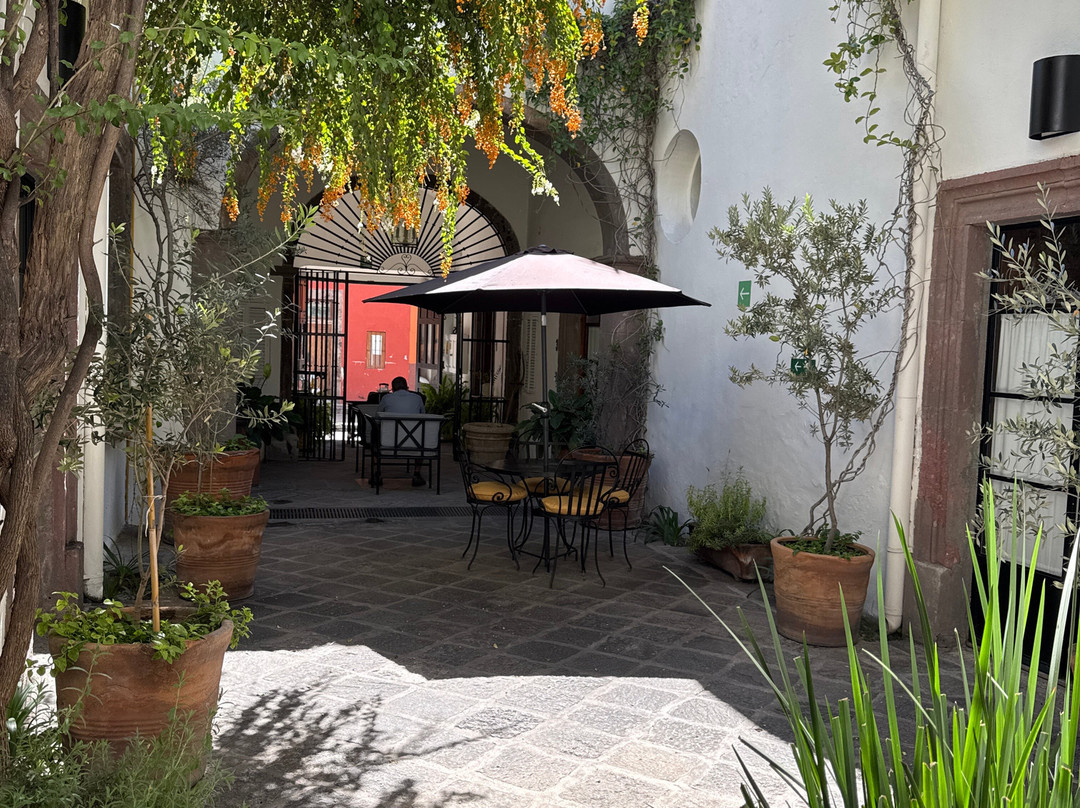 Casa de Los Olivos主图