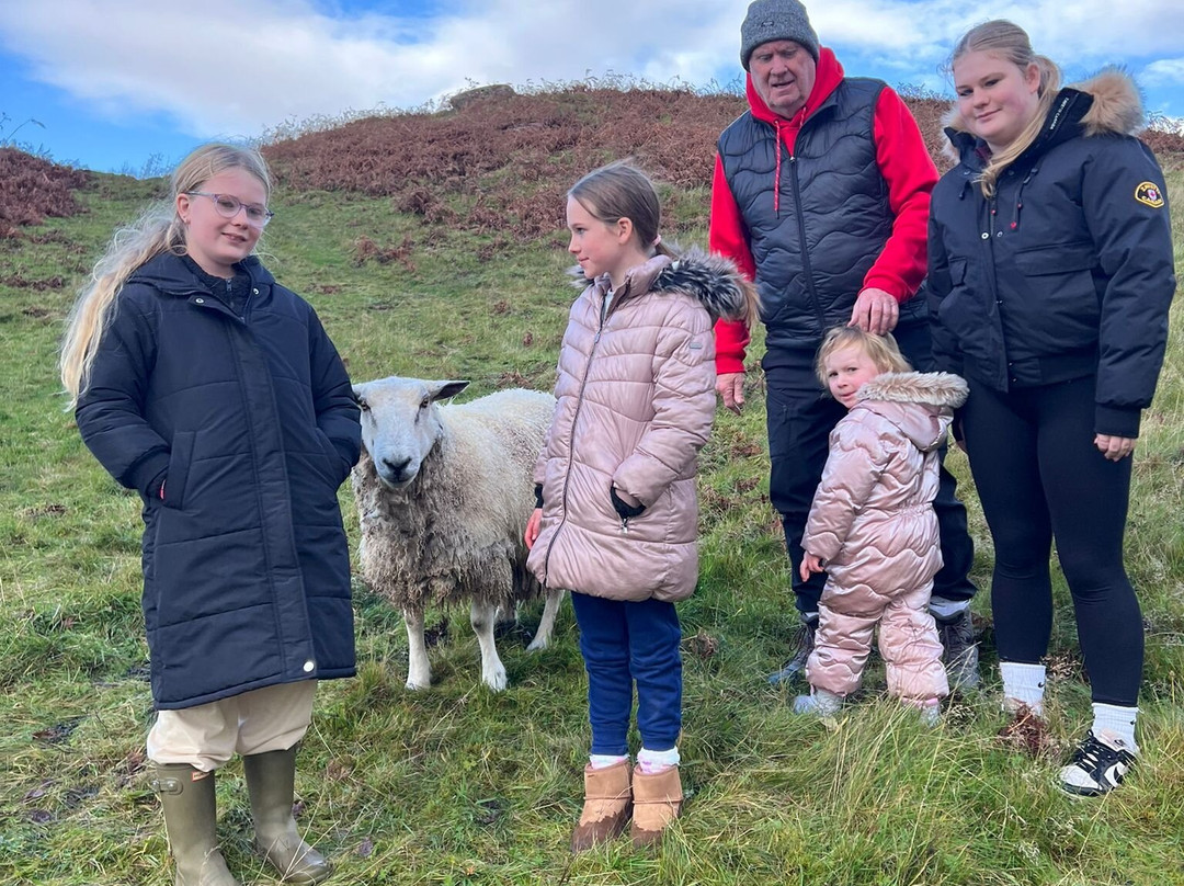 Nether Glenny Farm - Coos and Views-斯特灵必去景点